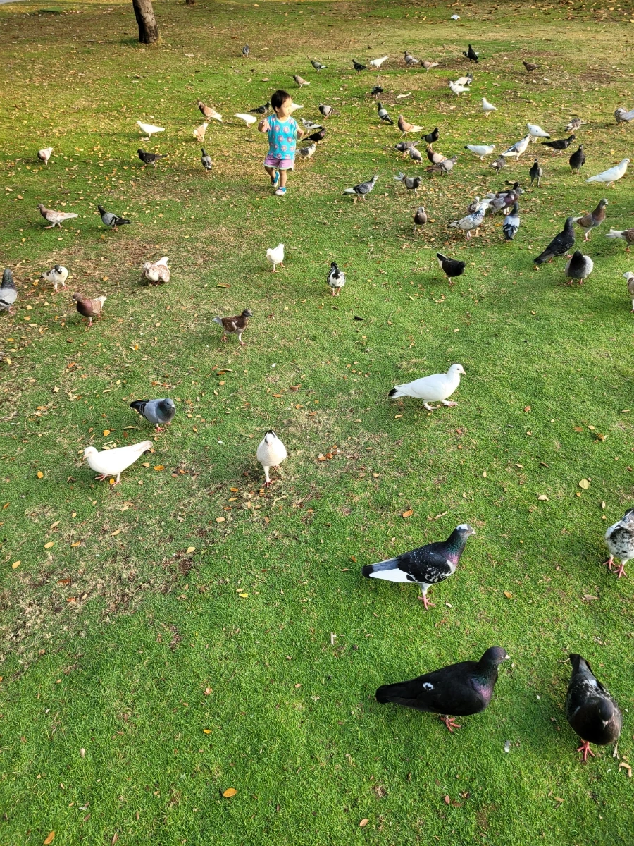 20240317%EF%BC%BF064353.jpg?type=w966