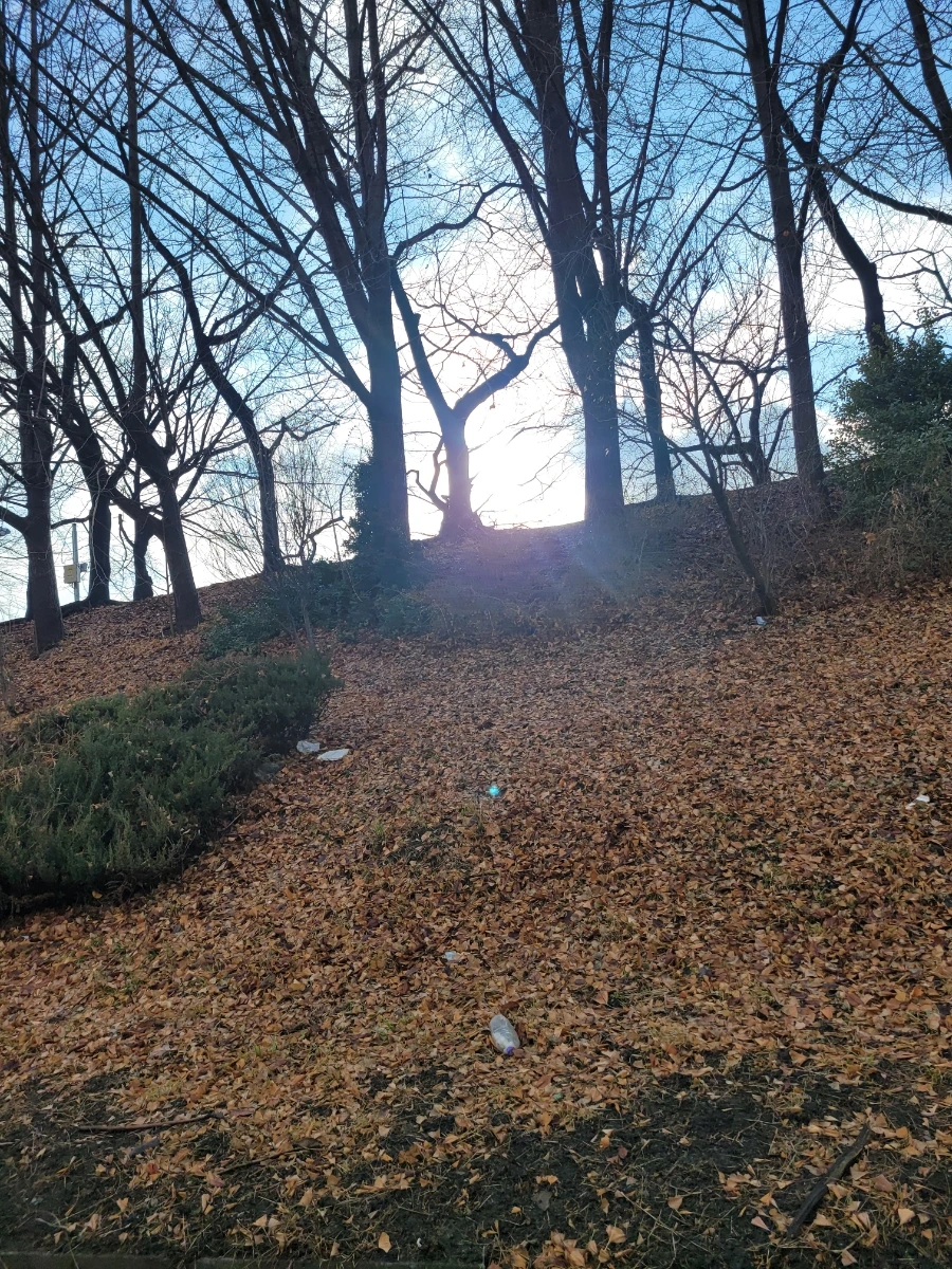 20240215%EF%BC%BF161724.jpg?type=w966