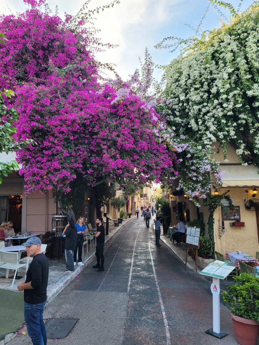 20241016%EF%BC%BF174026.jpg?type=w966