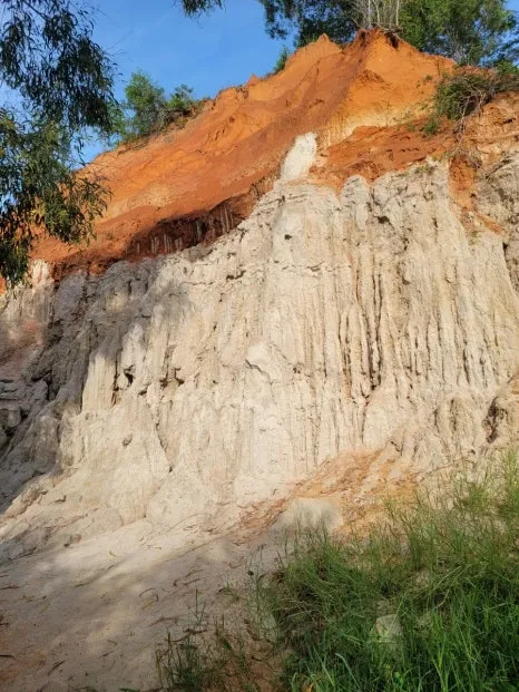 20240915%EF%BC%BF072420.jpg?type=w466