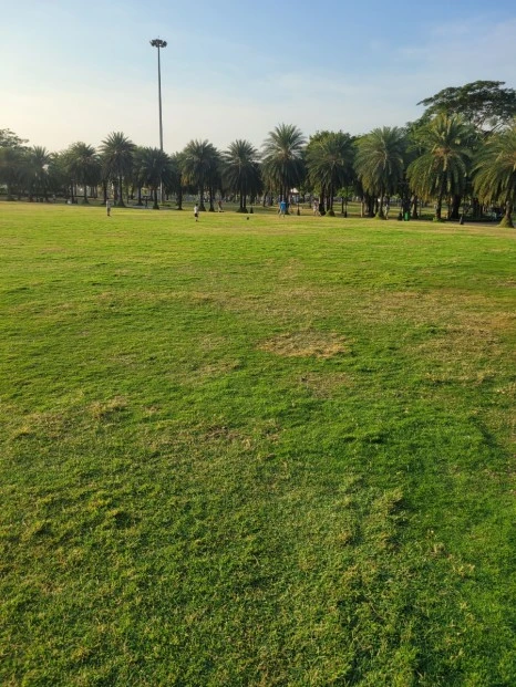 20240303%EF%BC%BF070505.jpg?type=w466