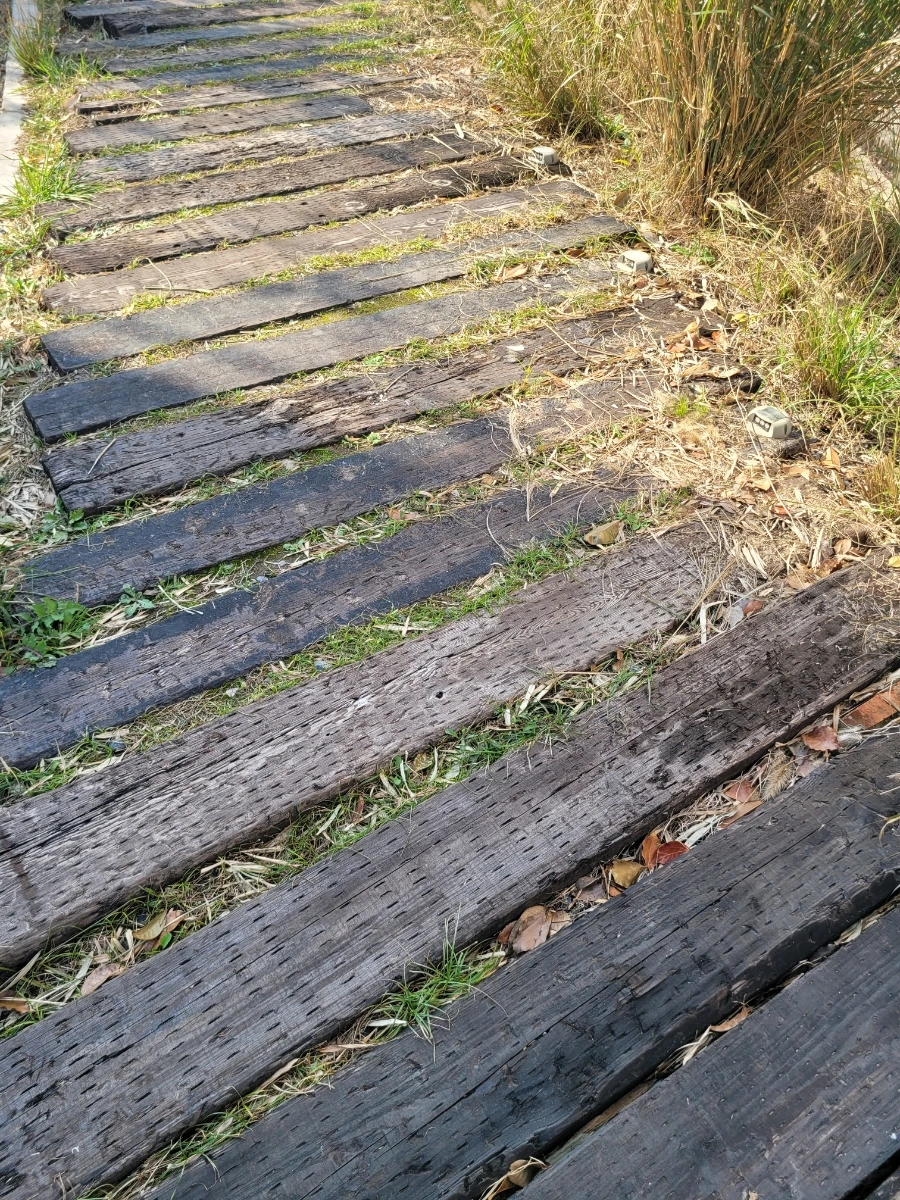 900%EF%BC%BF20241126%EF%BC%BF125220.jpg?type=w966