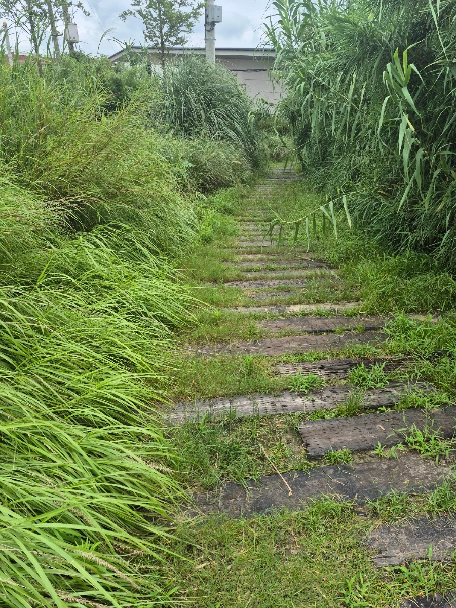 900%EF%BC%BF20250731%EF%BC%BF121337.jpg?type=w966