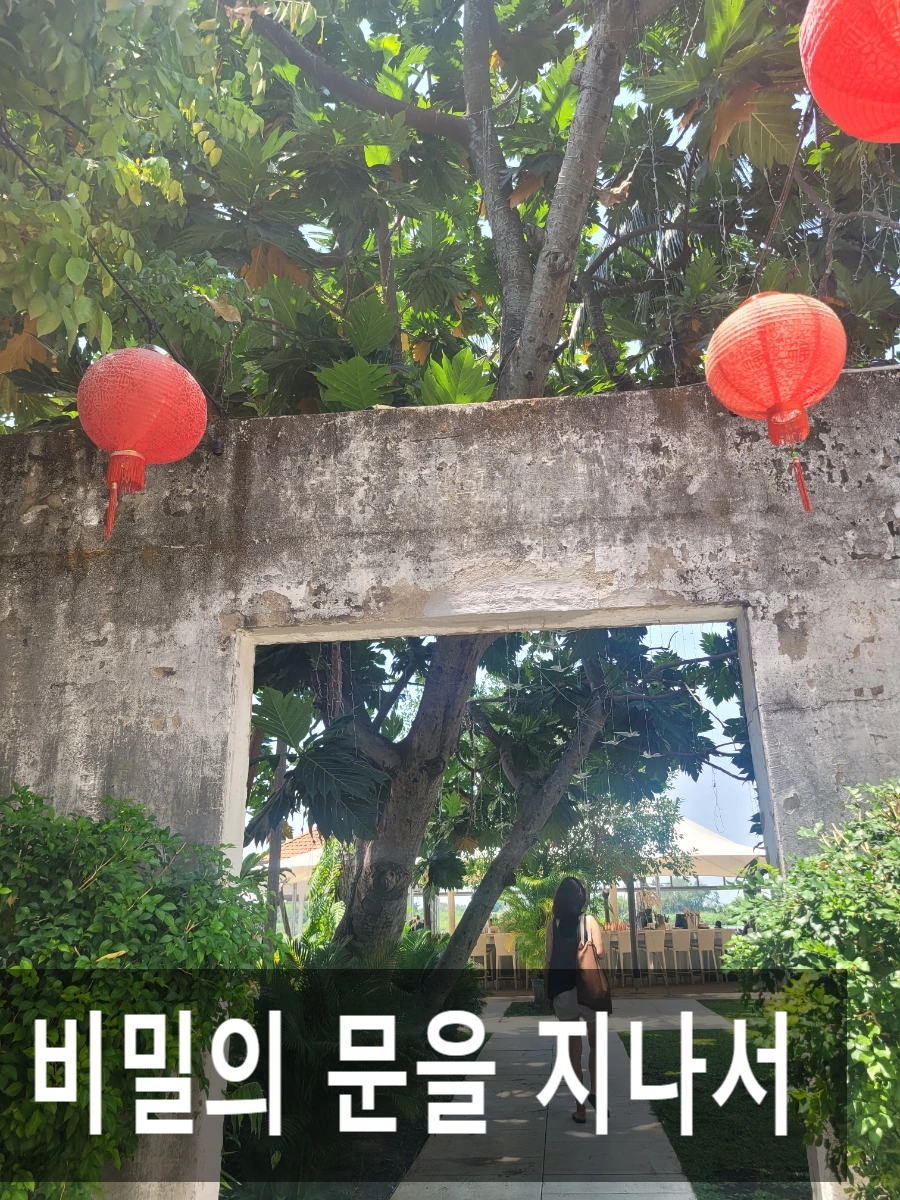 SE-4aa1c611-13a6-11f0-abbc-c71f19c73624.jpg?type=w966