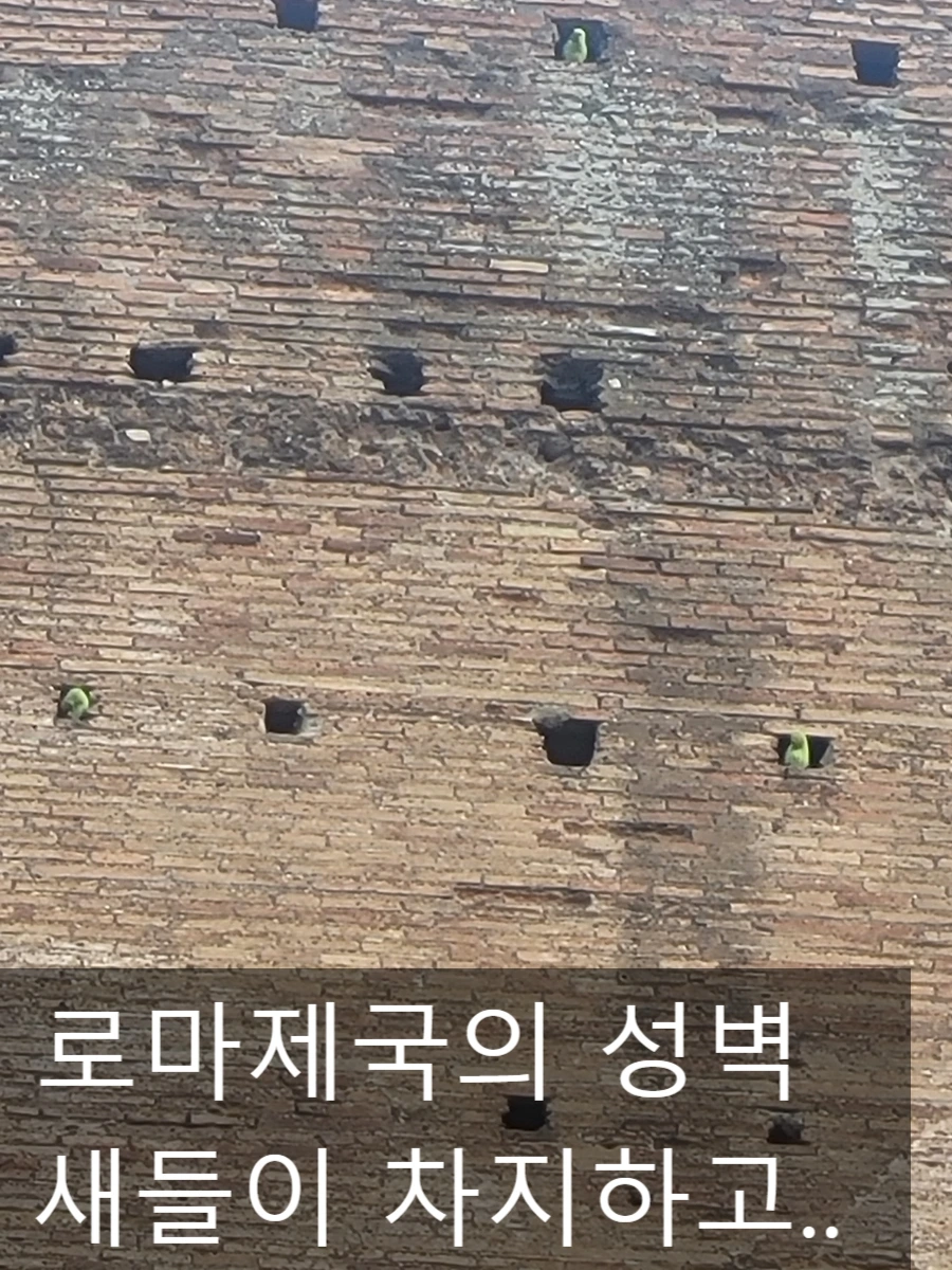 SE-458be106-95ec-11ef-a8aa-47b909932292.jpg?type=w966