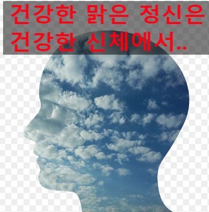 SE-b526ca96-8bc1-478c-9c48-fe6a6e2b018b.png?type=w966