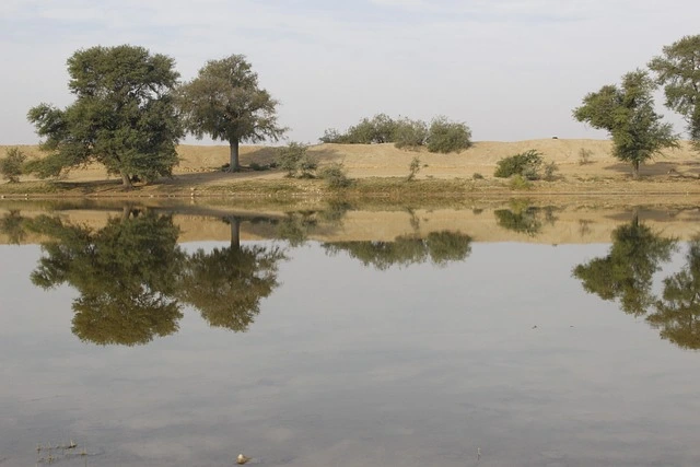 nature-3332460_640.jpg?type=w966