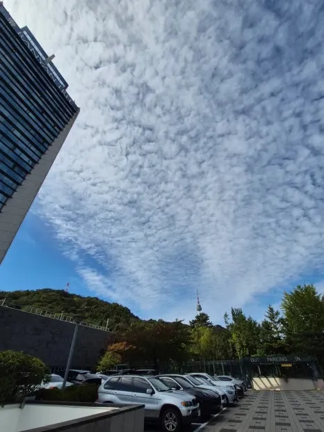 900%EF%BC%BF20251024%EF%BC%BF114216.jpg?type=w466