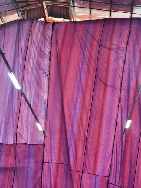 20240524%EF%BC%BF073938.jpg?type=w466