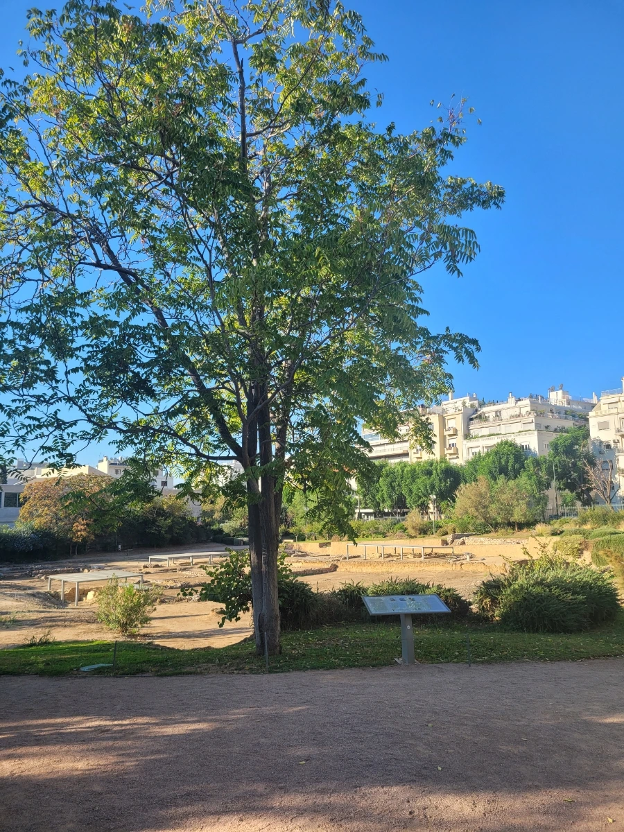 20241016%EF%BC%BF093826.jpg?type=w966