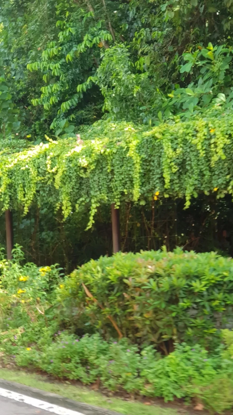 20221106%EF%BC%BF095133.jpg?type=w966