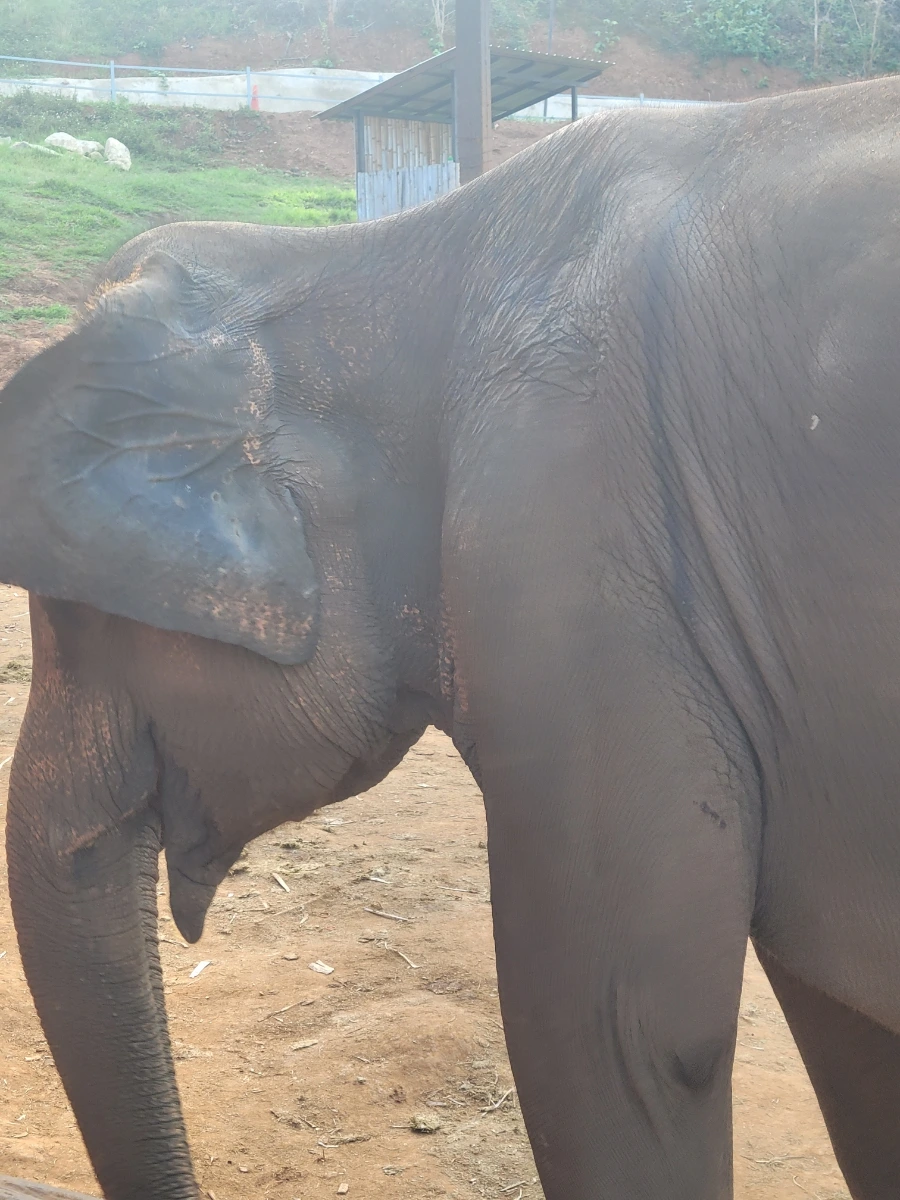 900%EF%BC%BF20250420%EF%BC%BF165408.jpg?type=w966