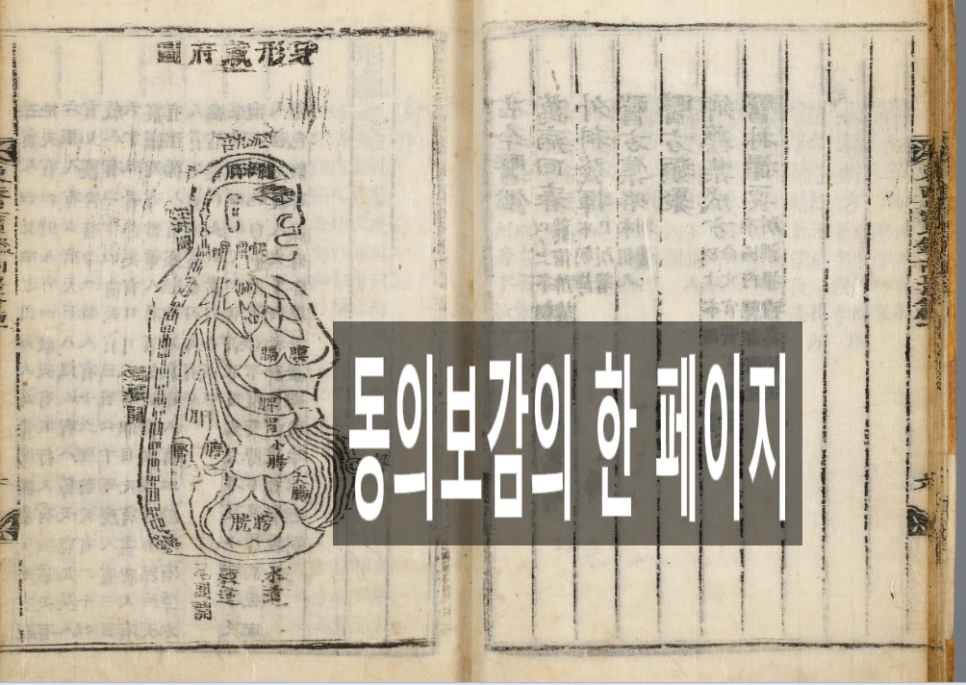 SE-cfd8cb3d-8d8f-44e6-9778-15cd366998e7.png?type=w966