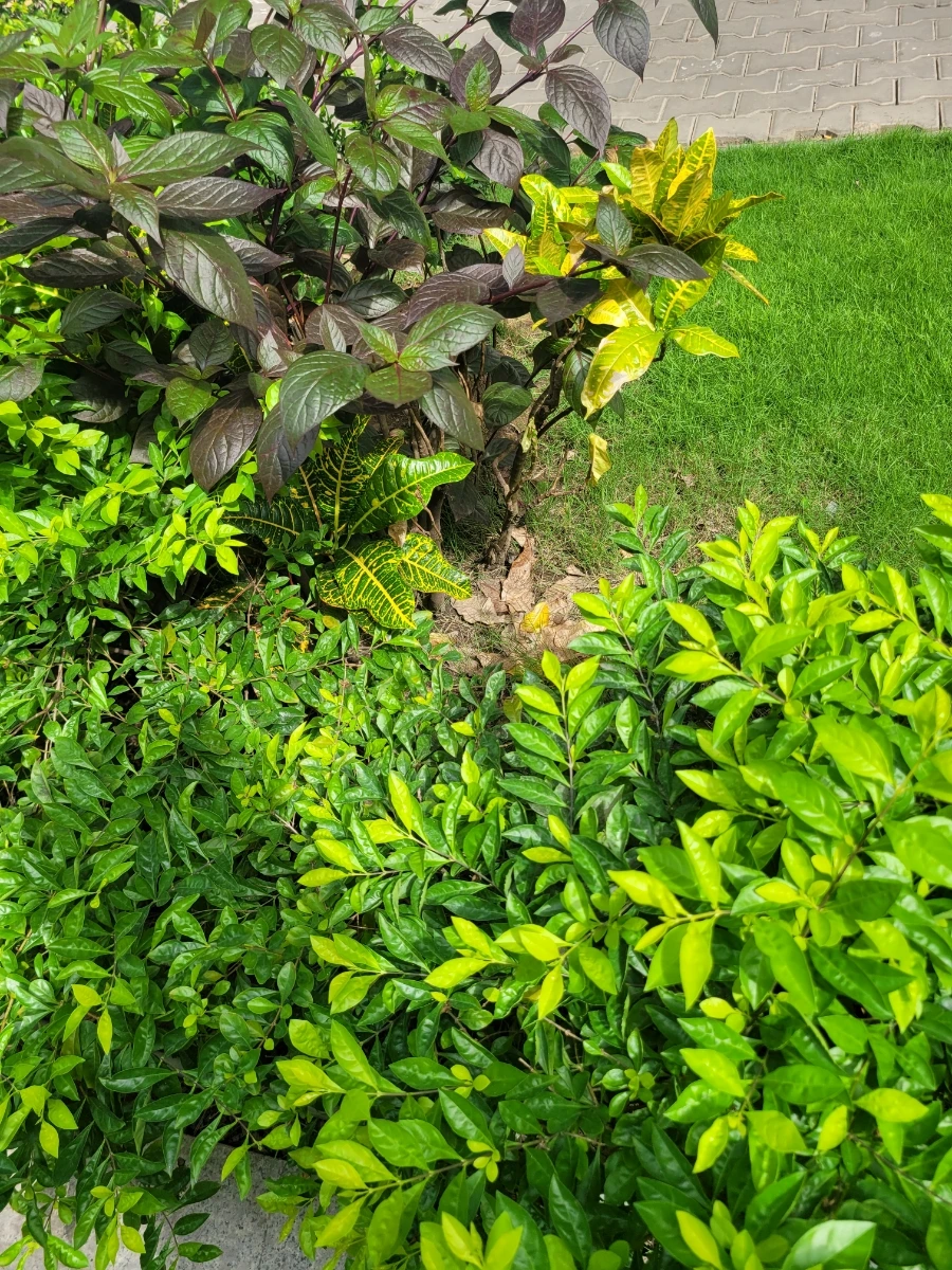 900%EF%BC%BF20250225%EF%BC%BF094952.jpg?type=w966