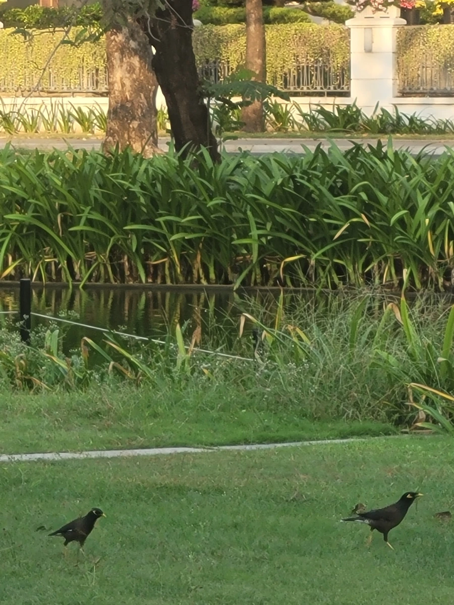 20240303%EF%BC%BF064404.jpg?type=w966