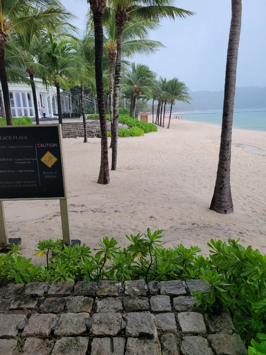 20240901%EF%BC%BF123511.jpg?type=w966