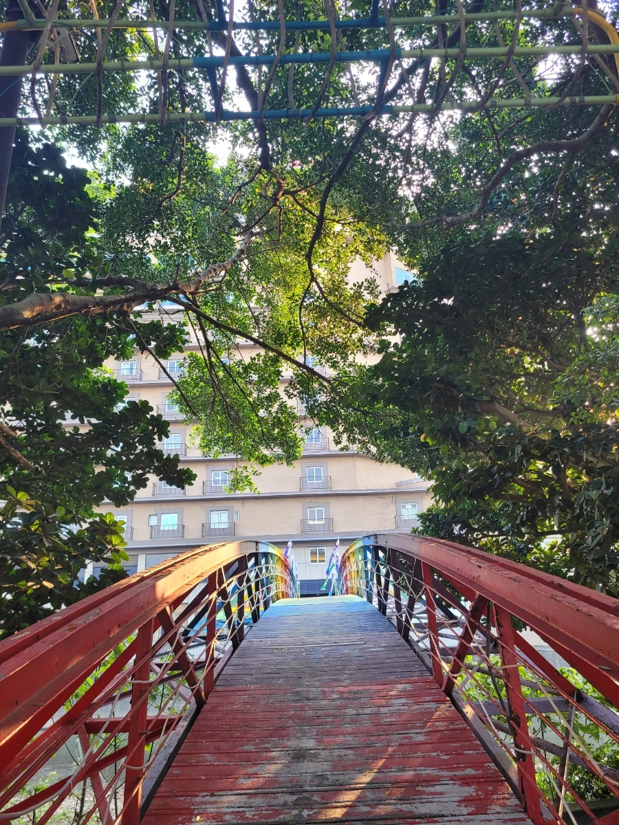 900%EF%BC%BF20250324%EF%BC%BF065850.jpg?type=w966