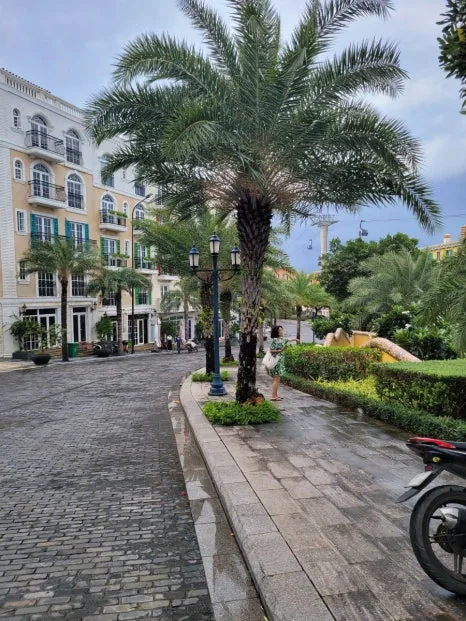 20240901%EF%BC%BF092032.jpg?type=w466