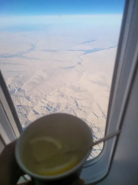 20241020%EF%BC%BF114821.jpg?type=w466