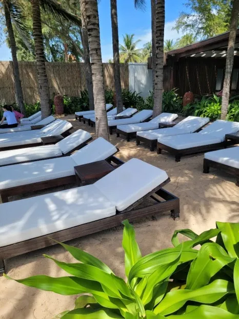 20240915%EF%BC%BF095209.jpg?type=w466