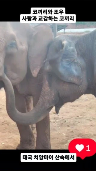 PublishThumb_20250421_140038_435.jpg?type=w320