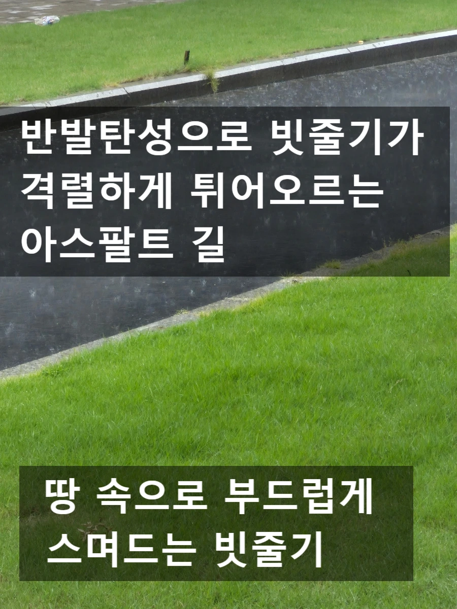 SE-79088318-8d01-11f0-a34a-296129271383.jpg?type=w966