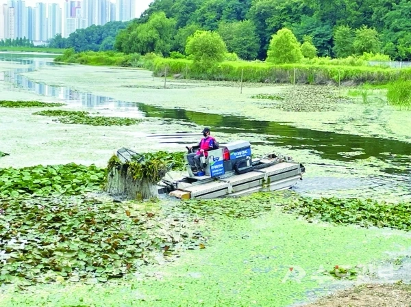 %EC%88%98%EC%B4%88.jpg?type=w966