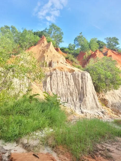 20240915%EF%BC%BF072443.jpg?type=w466