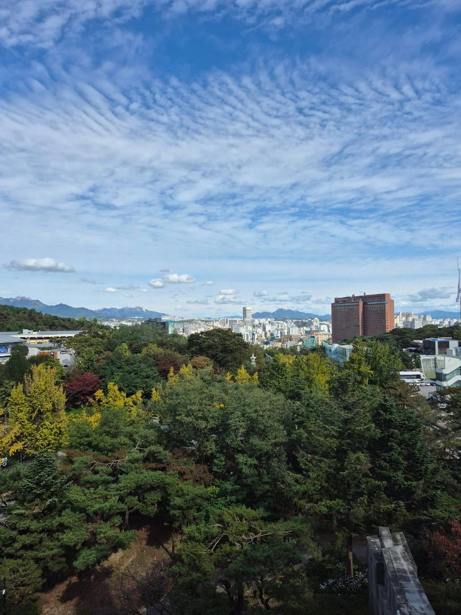 900%EF%BC%BF20251024%EF%BC%BF113808.jpg?type=w966