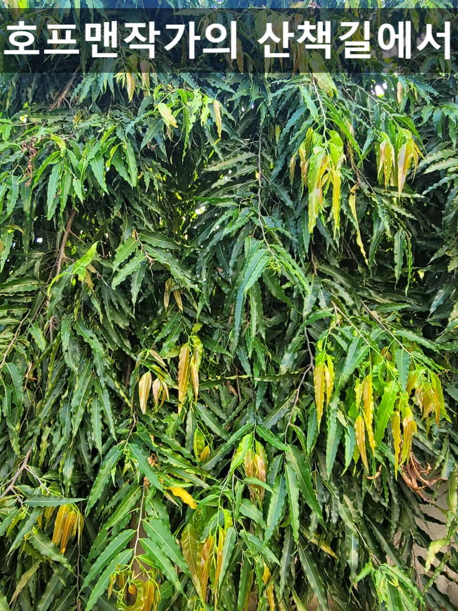 SE-7222f9bb-d915-11ef-bfc2-675c06e0963b.jpg?type=w966