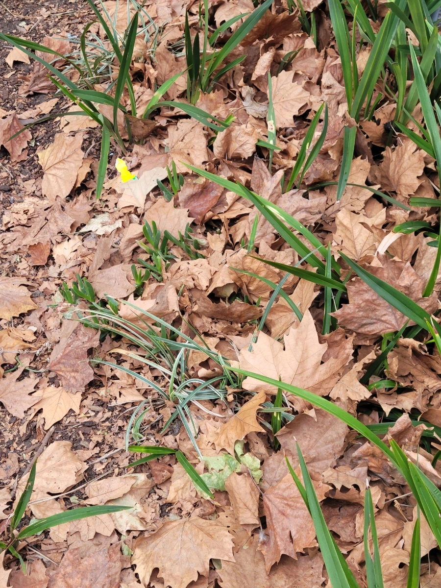 20240429%EF%BC%BF071455.jpg?type=w966