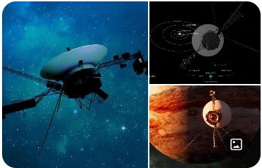 %EB%B3%B4%EC%9D%B4%EC%A0%80.png?type=w966