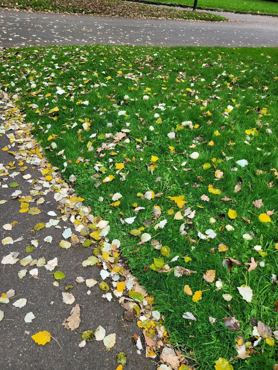 20240429%EF%BC%BF113029.jpg?type=w966