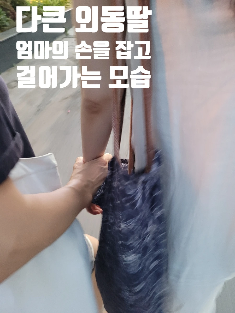 SE-a99c193f-235f-11f0-8105-eb15fcda3c5a.jpg?type=w966