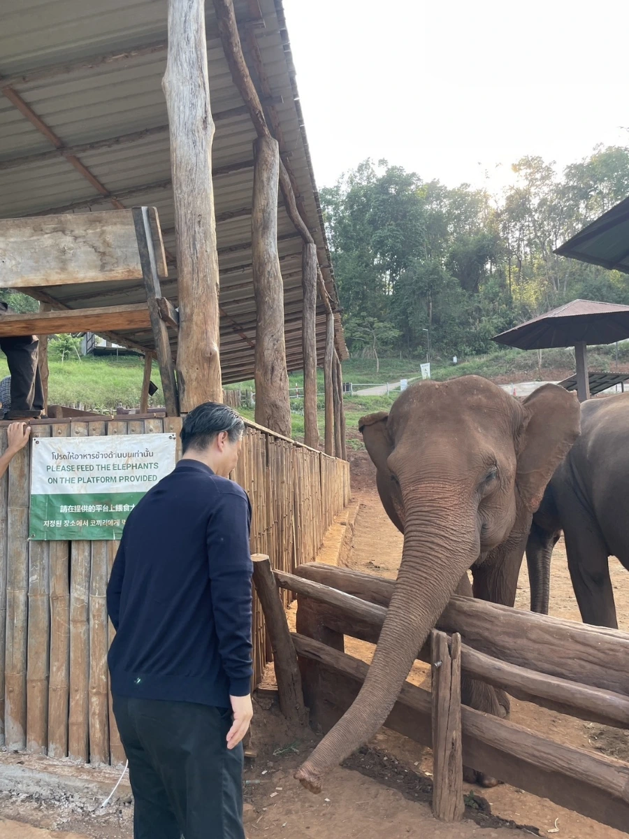 900%EF%BC%BF1745217360668.jpg?type=w966