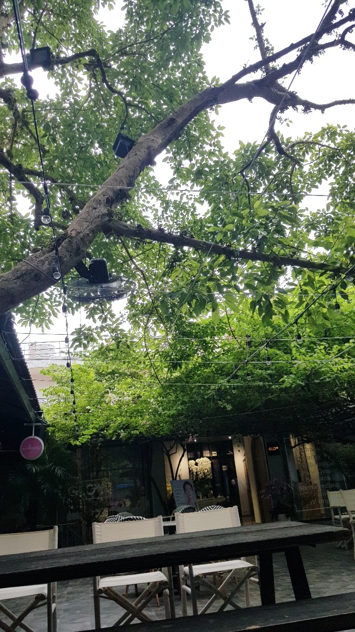 1651998144365.jpg?type=w966