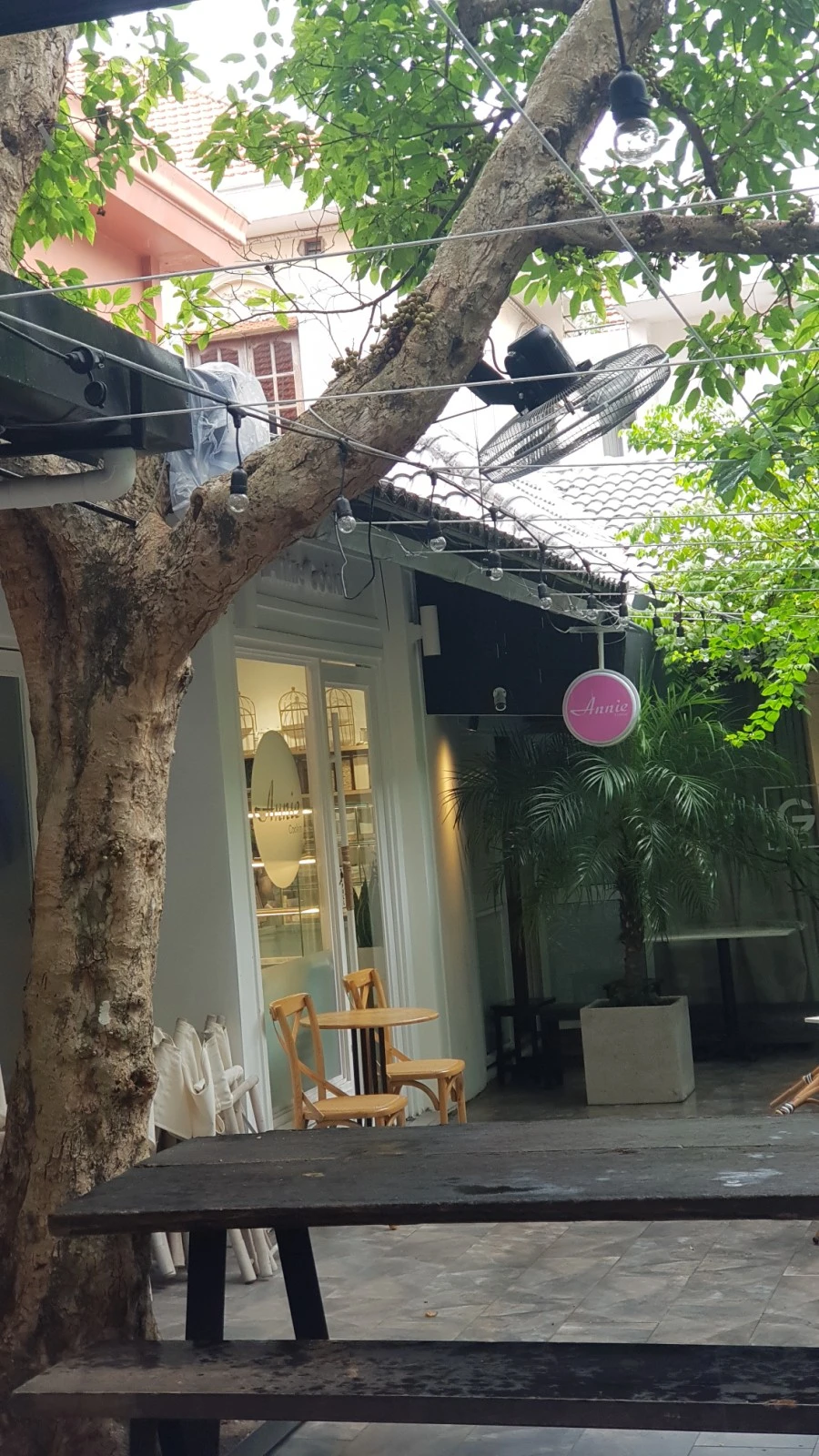 20220508%EF%BC%BF111745.jpg?type=w966