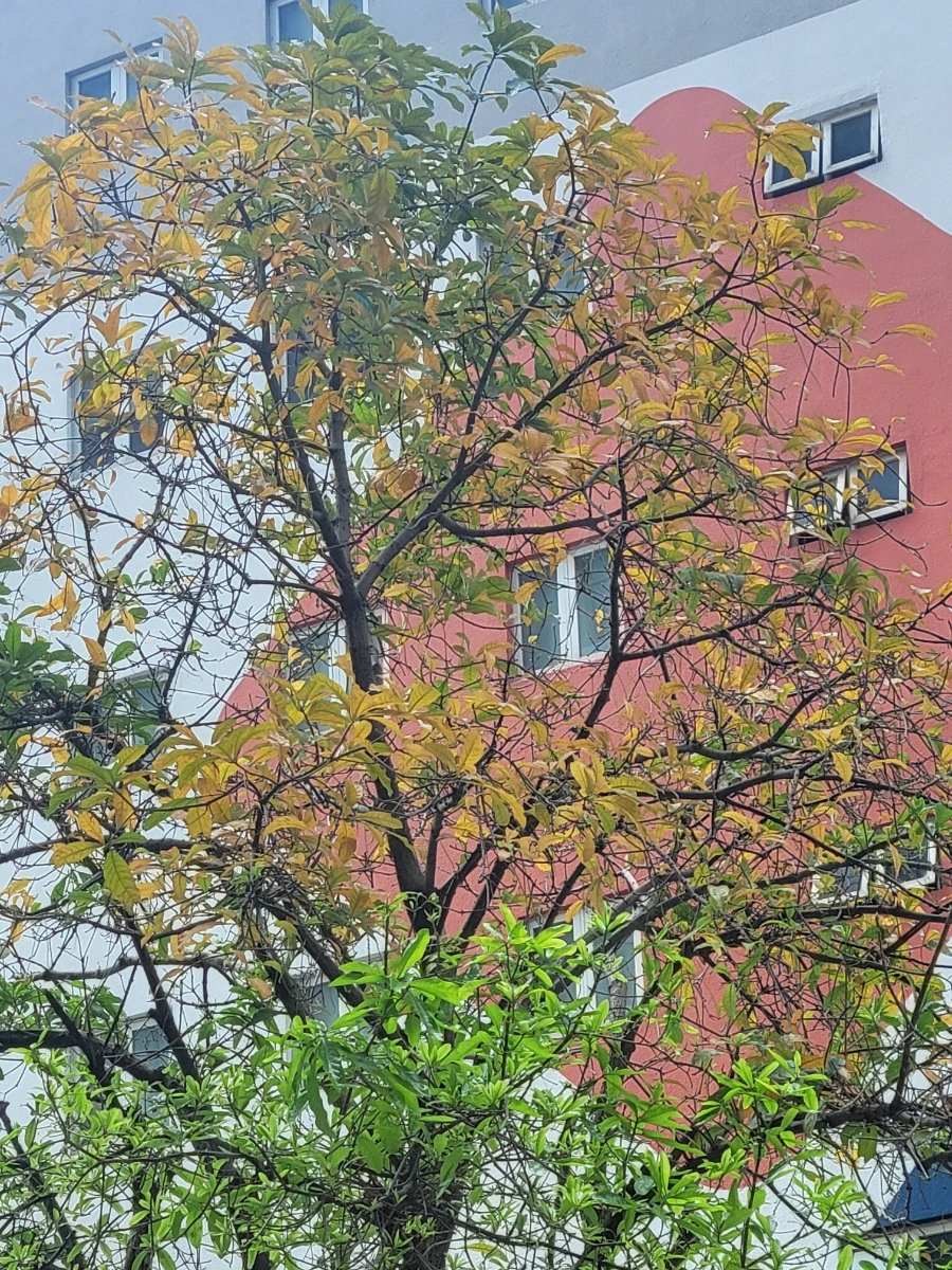 900%EF%BC%BF20250302%EF%BC%BF105807.jpg?type=w966