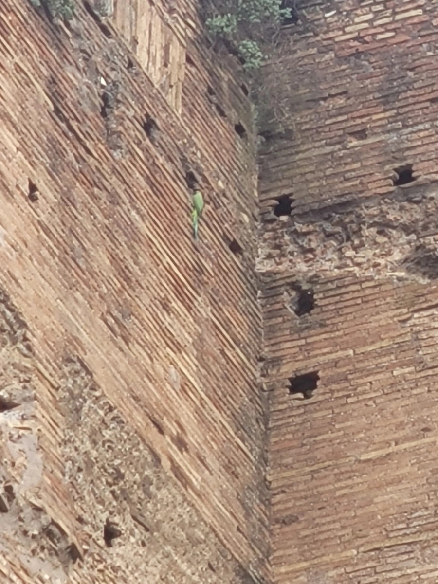 900%EF%BC%BF20241018%EF%BC%BF162510.jpg?type=w966