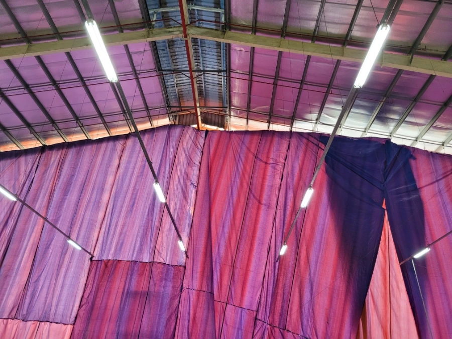 20240524%EF%BC%BF073926.jpg?type=w966