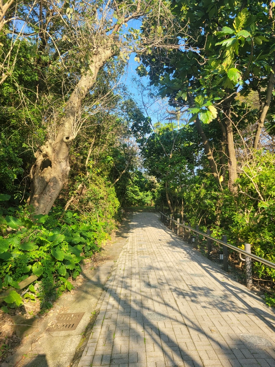 900%EF%BC%BF20250323%EF%BC%BF074014.jpg?type=w966