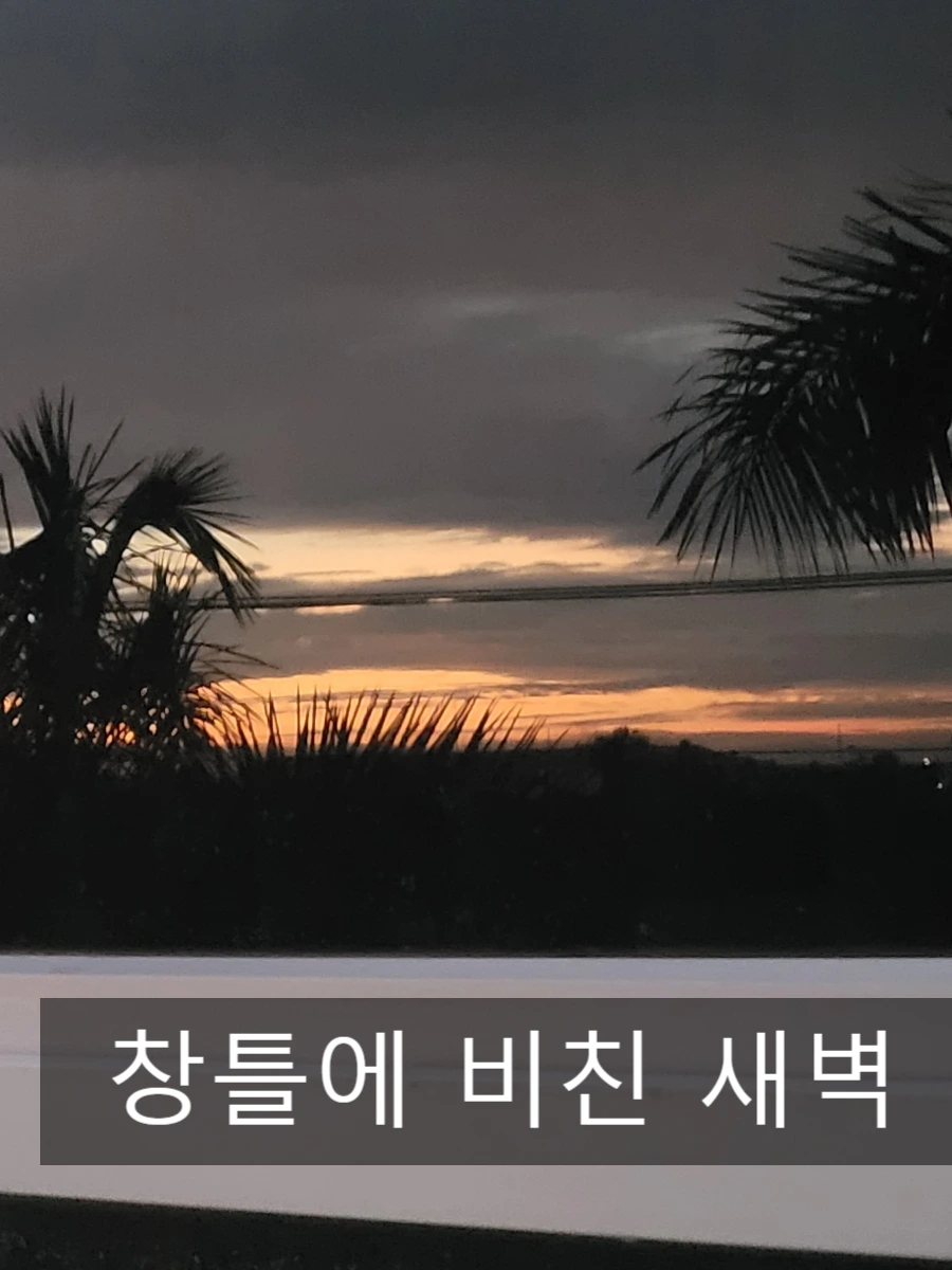 SE-75e964d4-46f0-11ef-9b6b-b184e3a18ad7.jpg?type=w966