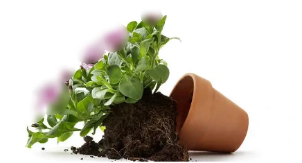 SE-c0d63baa-3886-4839-862b-ac64e438b2d5.png?type=w966