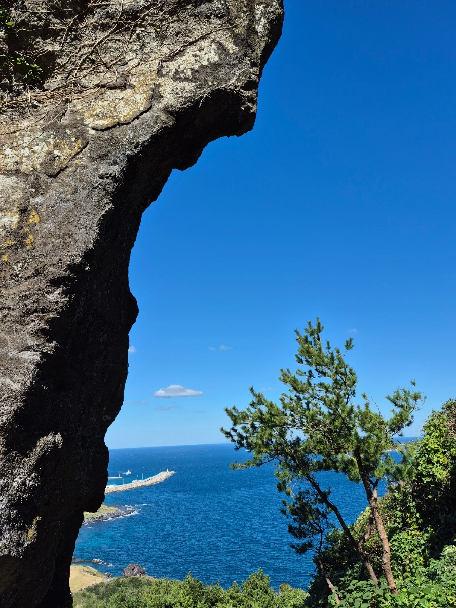 900%EF%BC%BF20251028%EF%BC%BF121441.jpg?type=w966