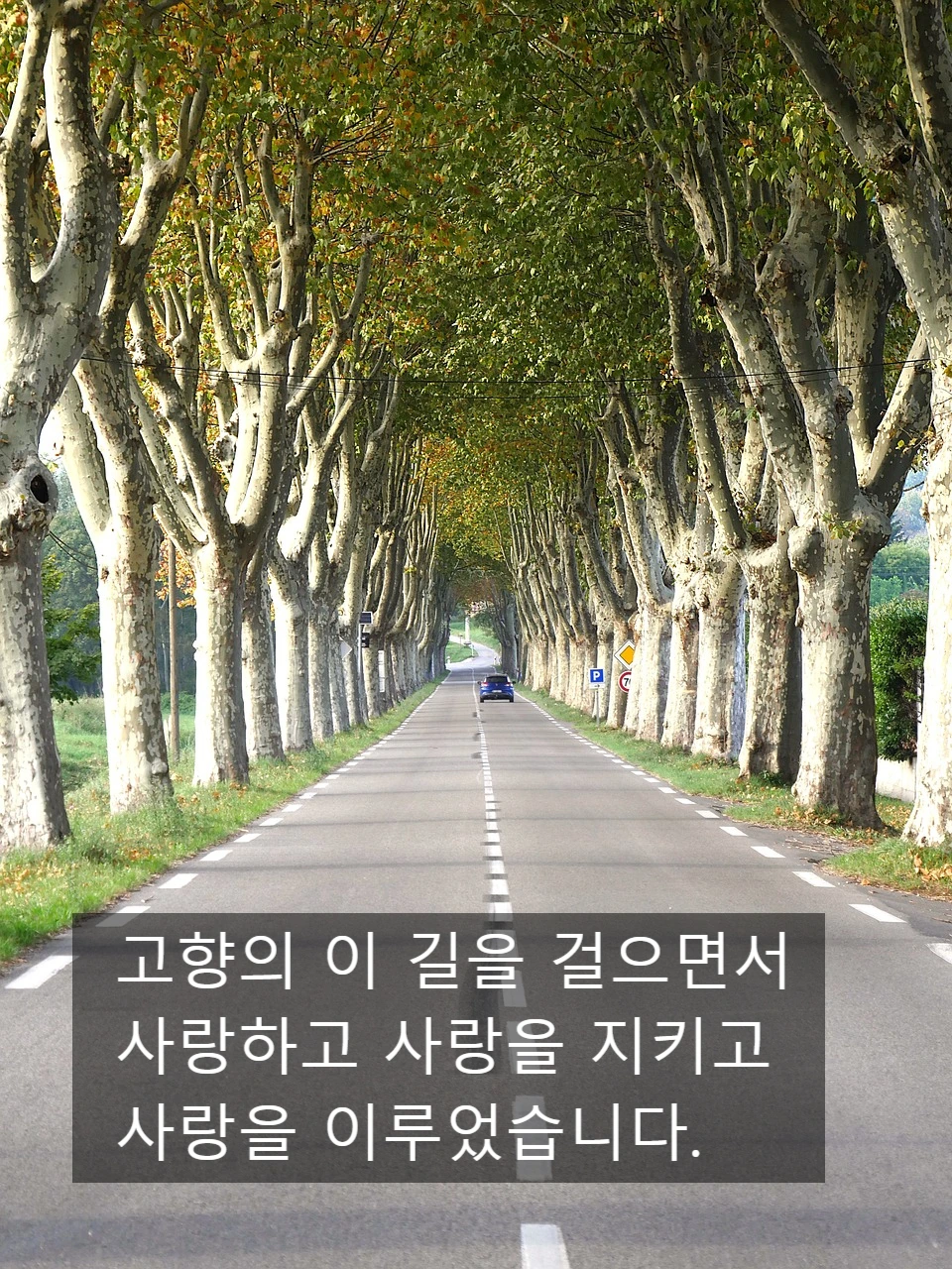 SE-c224c4f3-4c7d-4da3-acd7-a2b18151e8e1.jpg?type=w966