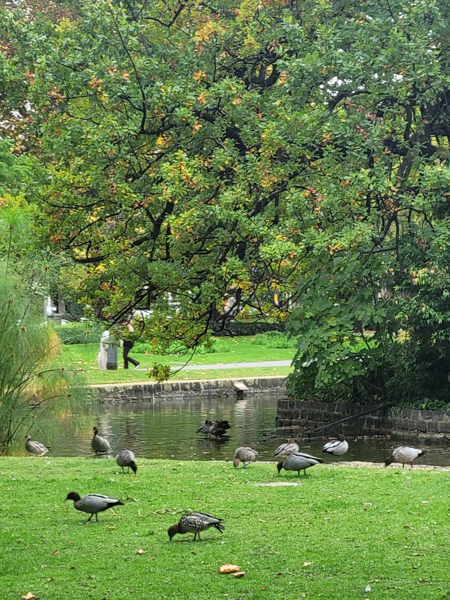 20240429%EF%BC%BF111108.jpg?type=w966