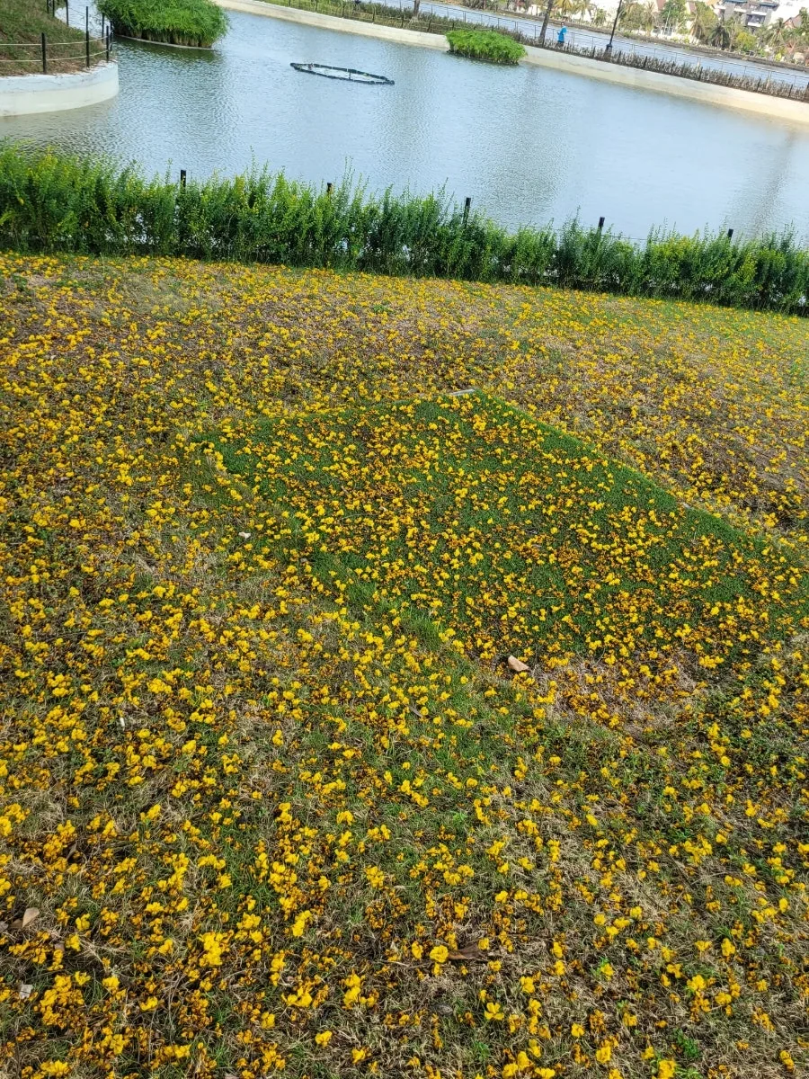 900%EF%BC%BF20250316%EF%BC%BF154452.jpg?type=w966