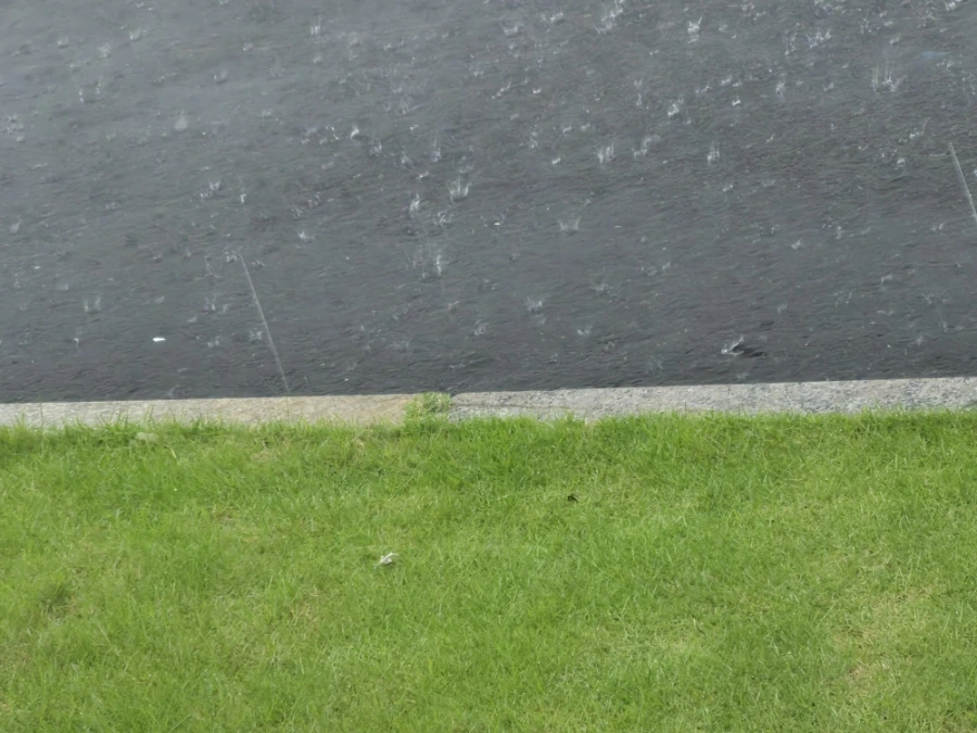 900%EF%BC%BF20250908%EF%BC%BF130851.jpg?type=w966