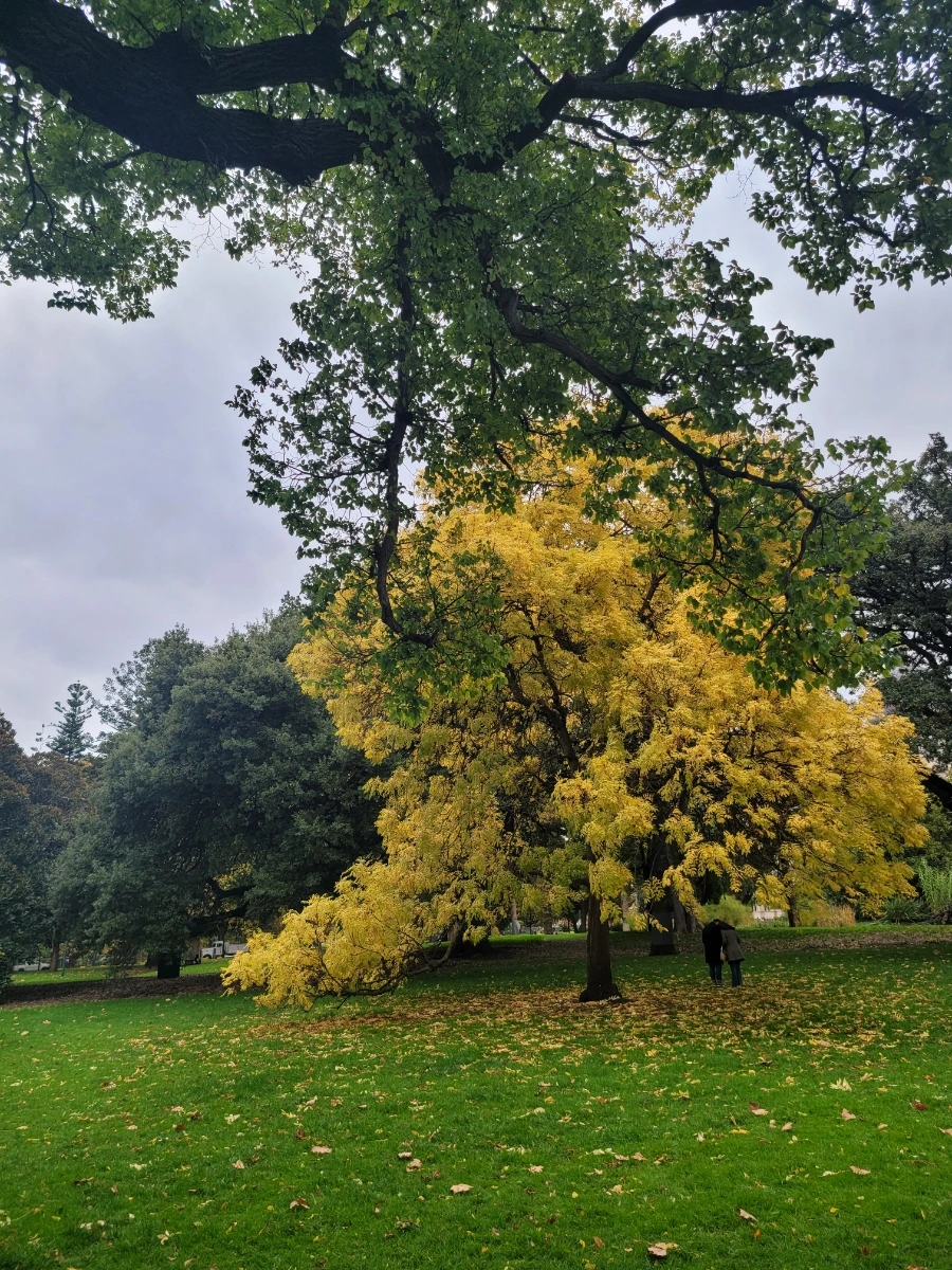 20240429%EF%BC%BF112909.jpg?type=w966