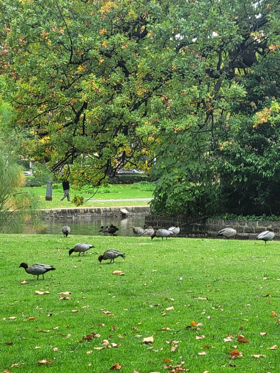 20240429%EF%BC%BF111059.jpg?type=w966